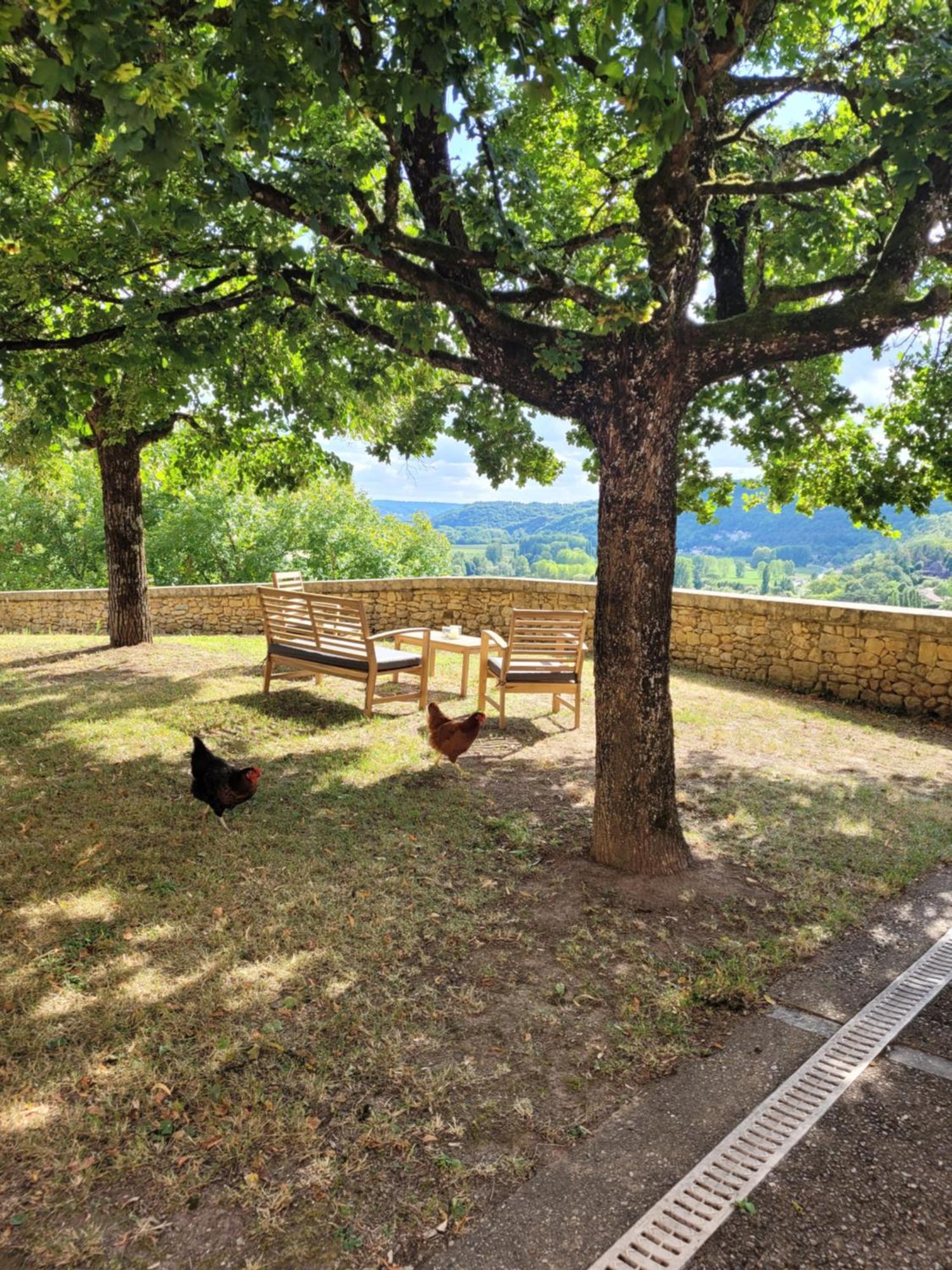 Le Baron Perche Saint-Cyprien (Dordogne) Exterior foto