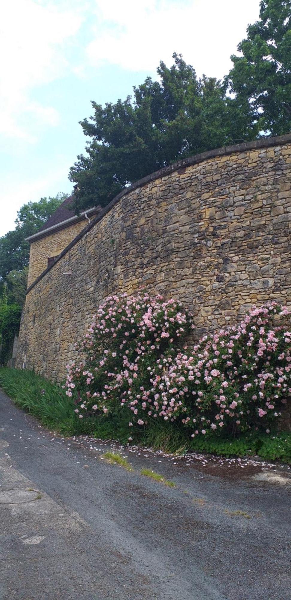 Le Baron Perche Saint-Cyprien (Dordogne) Exterior foto